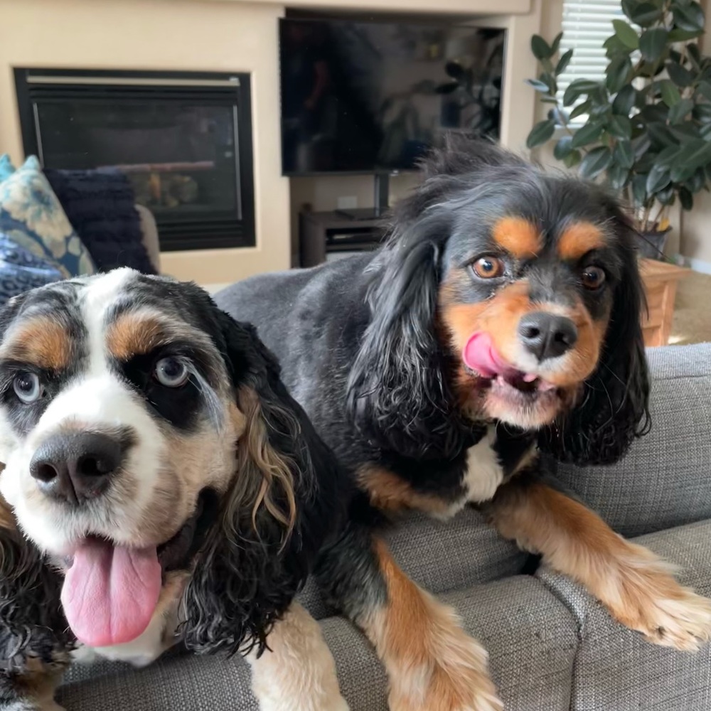 Meet your Posher, Vanessa